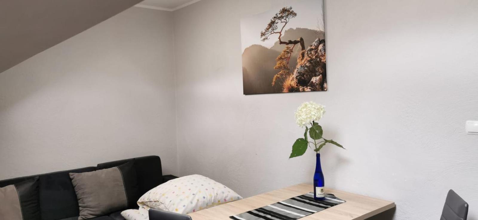 Apartamenty Hejszowina Kudowa Zdroj Exterior photo